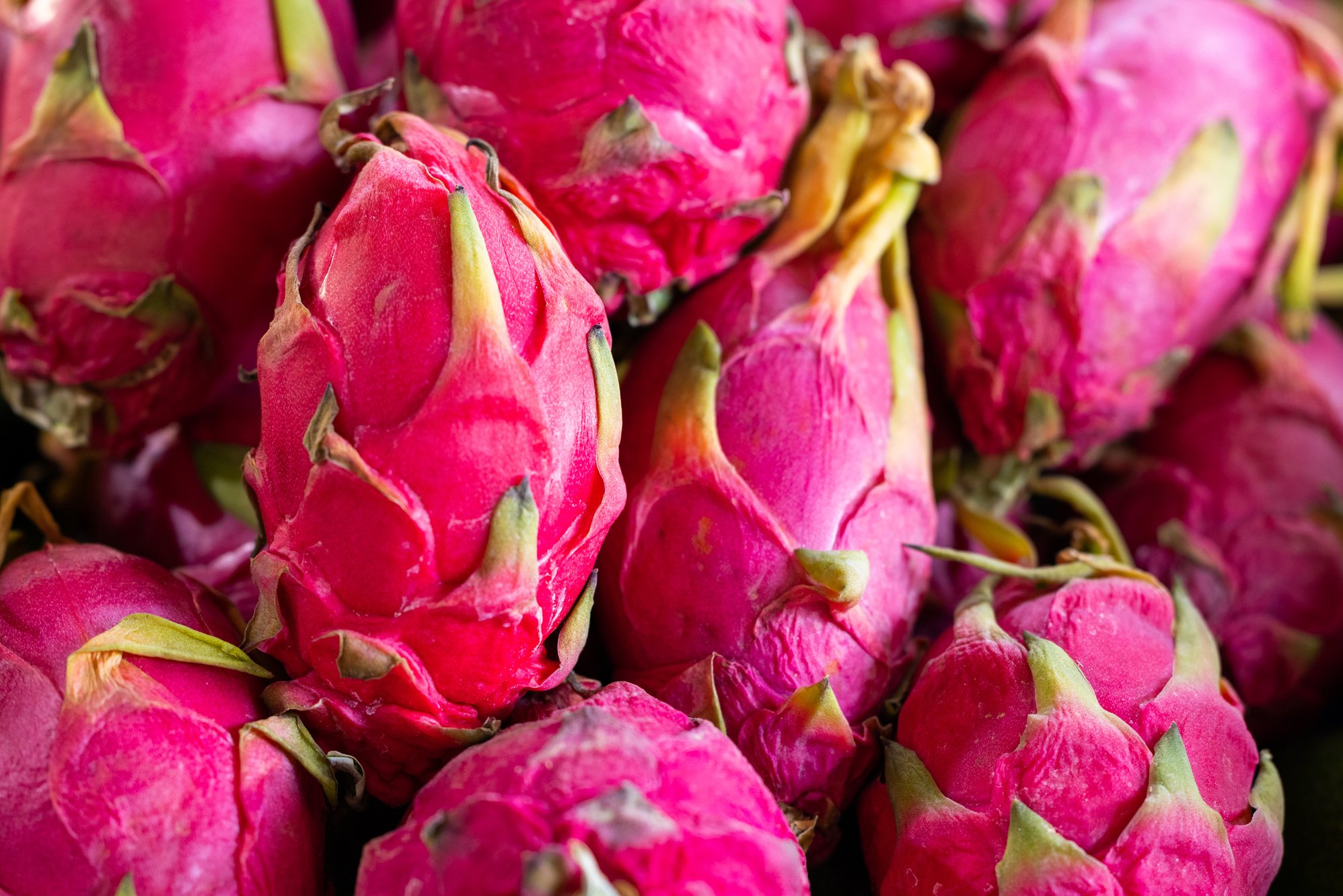 Dragon Fruits in Close Up Photography